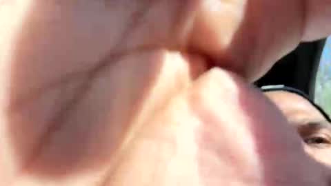 Fine Shit online show from April 13, 8:57 pm