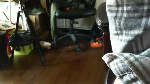 fireworks_53 online show from January 8, 6:14 pm