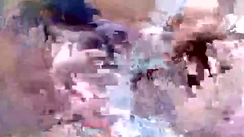 fishon13 online show from April 19, 1:39 am