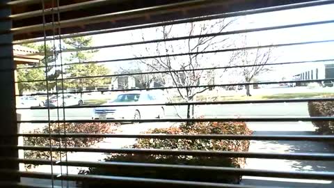 Snapshot of fit_hung_sub chatting on January 9, 7:08 pm pain slut daren online show from January 9, 7:08 pm