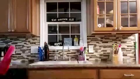 Nate online show from February 24, 7:00 am