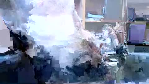 fleated online show from June 20, 11:16 am