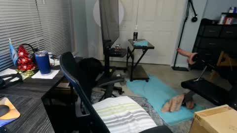 FloridaBearLive online show from December 20, 12:28 am