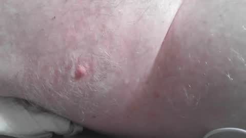 FLshowman online show from September 25, 10:44 am