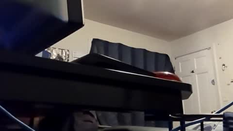 Have fun remembering u online show from February 2, 12:24 pm