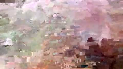 foruvlaad online show from July 30, 5:46 pm