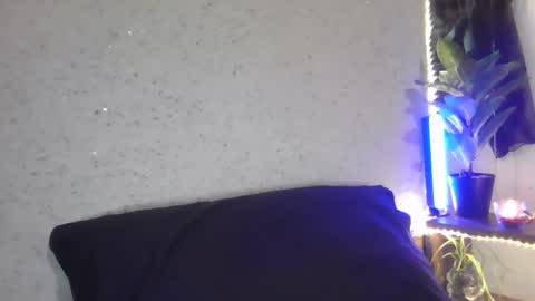 fox_red_lady7 online show from February 26, 6:26 pm