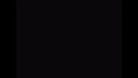 foxmsn online show from November 11, 2:30 pm