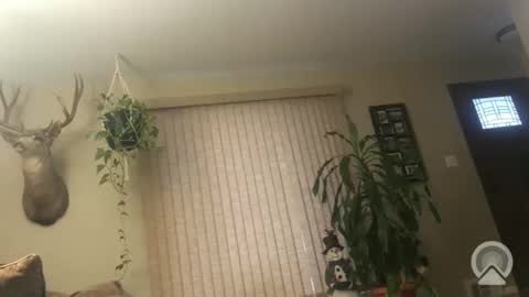 Frank online show from January 6, 1:15 pm