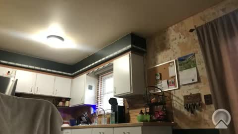 Frank online show from April 16, 12:05 pm