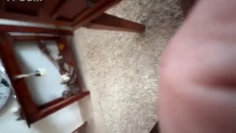 franzleo2903 online show from January 13, 9:50 am