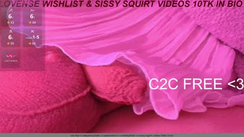 Meadow online show from March 28, 11:00 am