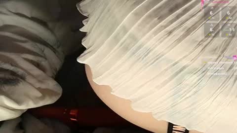 Meadow online show from February 22, 6:08 pm