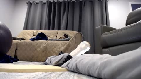 fuck_machine_3000 online show from June 19, 8:42 am
