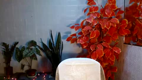 fuckme811826 online show from September 23, 10:20 am