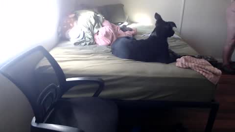 funwithgracie online show from November 10, 9:50 pm