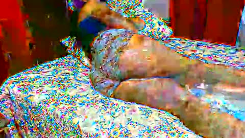 gaby  layla online show from November 9, 11:40 pm