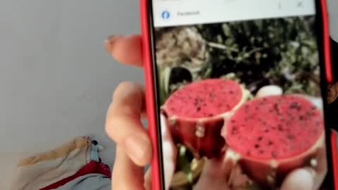 Gabi online show from January 19, 12:50 pm