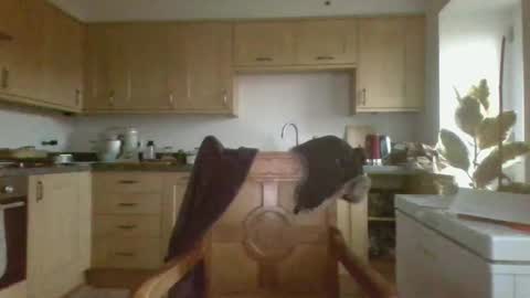 galacx online show from February 21, 4:48 pm