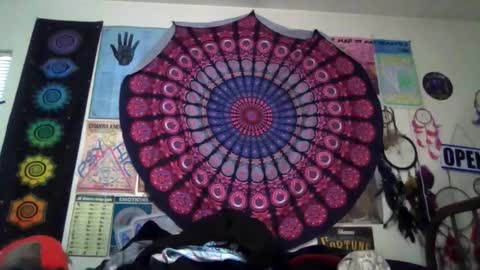 Gardenia online show from April 5, 11:13 pm