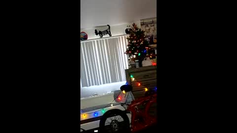 Zanecubano online show from December 4, 7:13 pm