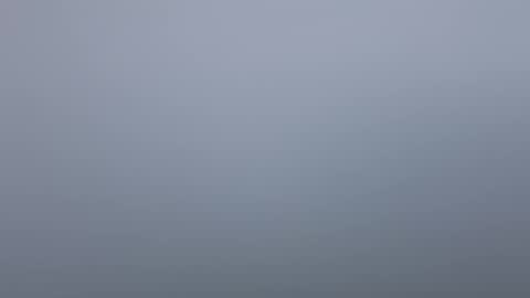 Zanecubano online show from October 5, 5:49 am