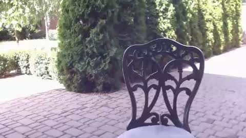 Melissa online show from July 12, 7:11 am
