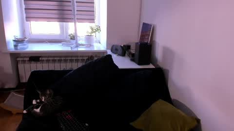 geserm online show from April 1, 1:41 pm