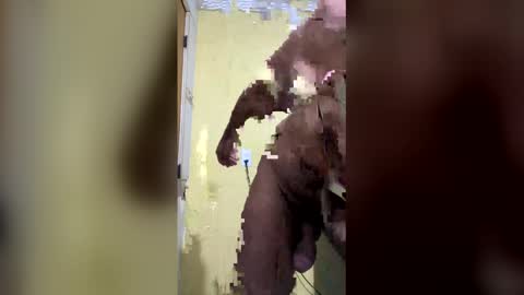 giftedbr online show from April 6, 7:31 am