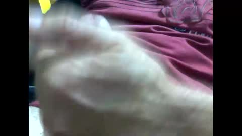 PencilDick online show from December 14, 9:26 am