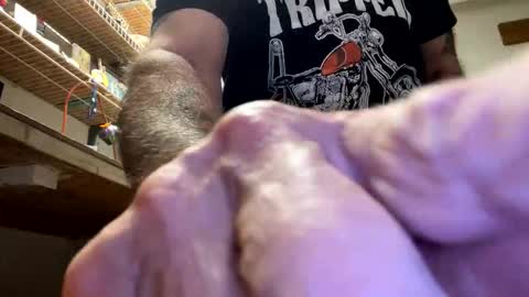 gngnxxx online show from October 23, 4:47 am