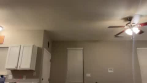 Princess Miila  BBC Daddy online show from January 6, 10:24 am