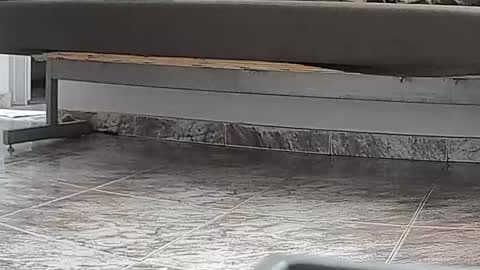 goddesshannahfeet_ online show from April 7, 4:42 pm