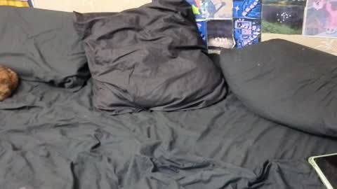 Amy online show from October 21, 8:12 pm