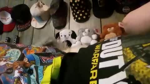 gottapoke25 online show from January 22, 1:11 pm