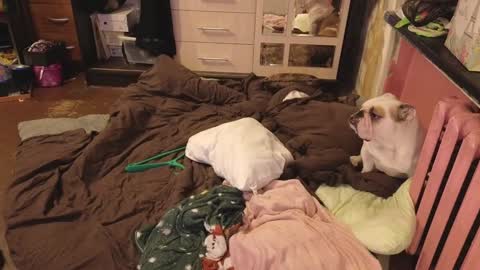 Snapshot of graylovescookies chatting on December 29, 3:03 pm graylovescookies online show from December 29, 3:03 pm