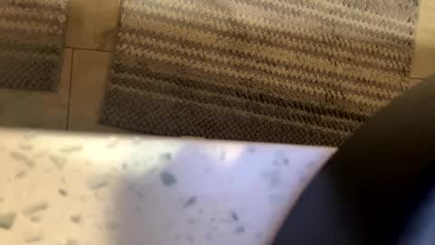 mike Stienburg online show from September 20, 4:15 am