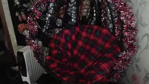 Lina online show from January 8, 12:55 pm