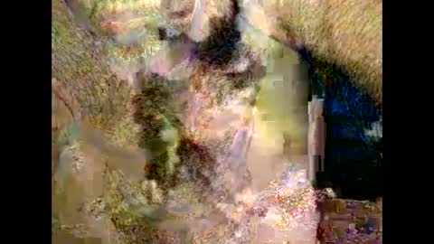 gregoryal9333 online show from May 18, 12:31 am
