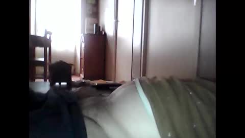 guizmeau72 online show from October 29, 1:46 pm