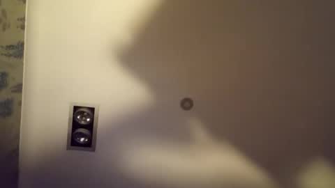 h_rd333 online show from December 15, 1:18 pm