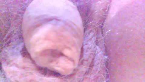 hagridthehorrible online show from February 5, 12:53 am