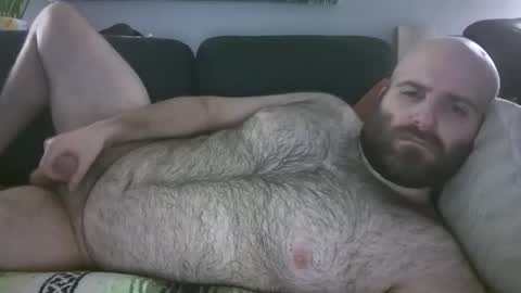 Hairiest Bear online show from March 29, 8:49 am