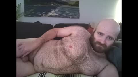 Hairiest Bear online show from March 31, 1:22 pm