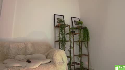 Snapshot of haley_shyy chatting on October 2, 11:31 am Haley  online show from October 2, 11:31 am