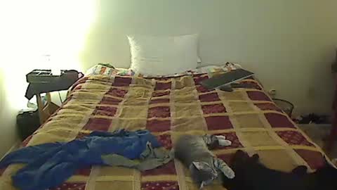 hammerthatthang73 online show from October 28, 8:48 am