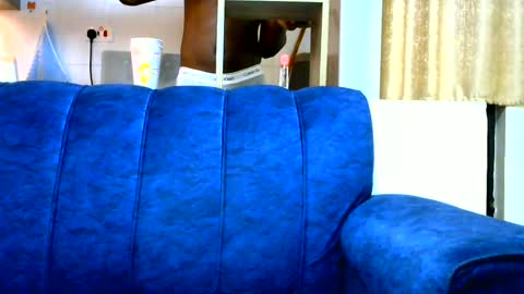 handsome king online show from July 11, 10:18 am