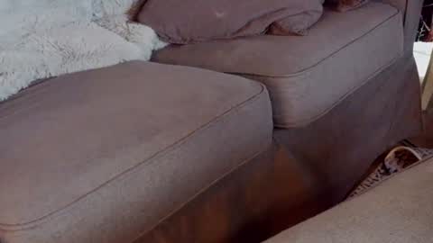 Handy Andy online show from July 5, 1:18 pm