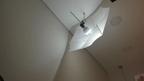 Hanna online show from April 1, 12:17 pm