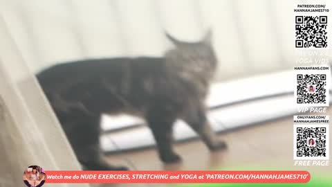 Hannah James online show from September 18, 6:56 pm